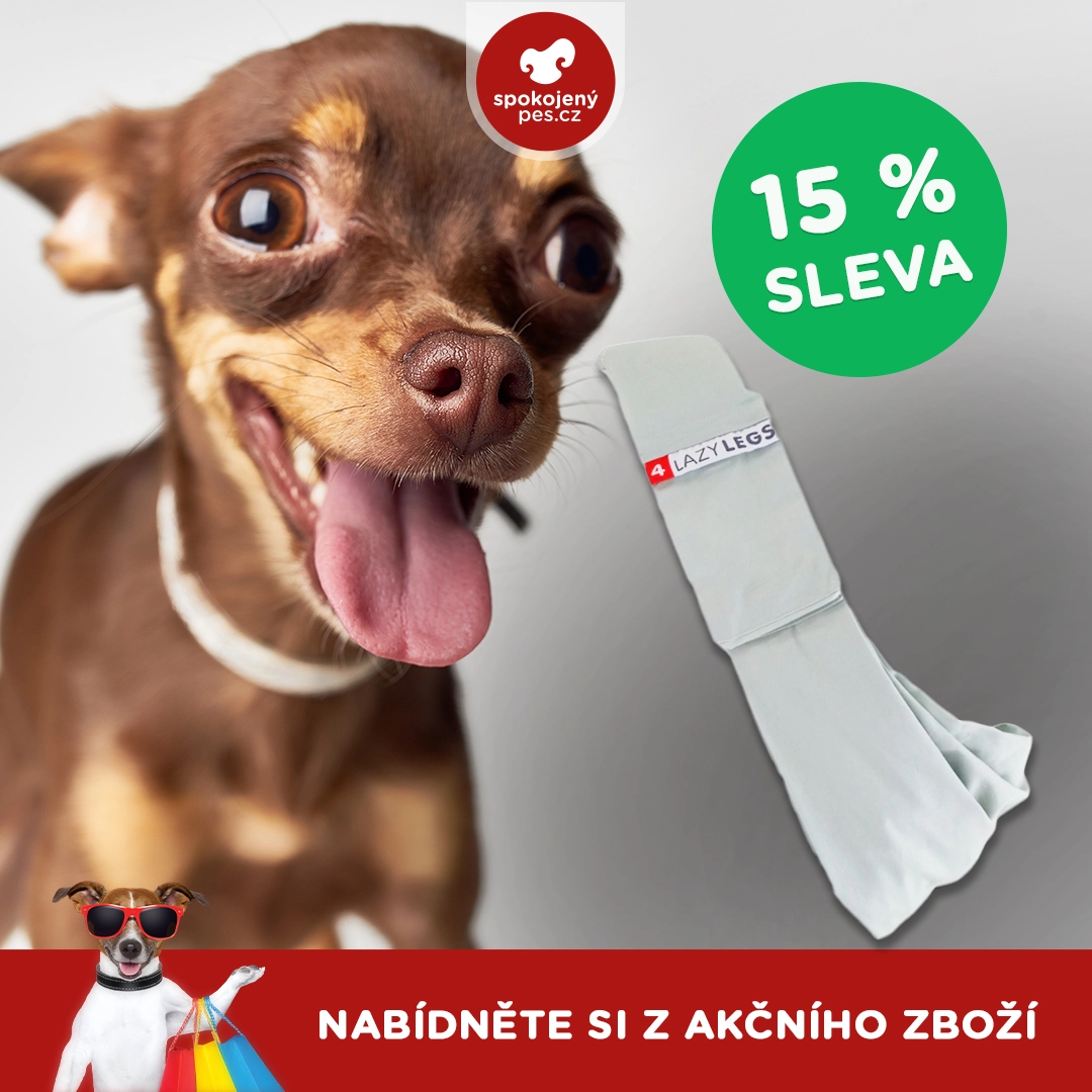 dog08 - kopie.webp